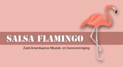 Salsa Flamingo